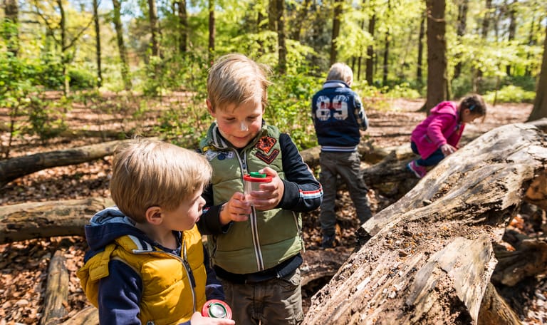 Met de klas naar buiten