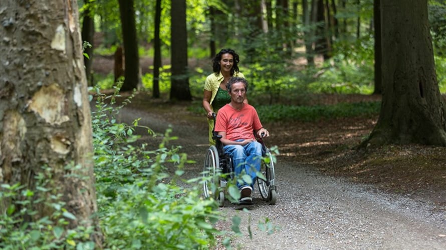 Natuur toegankelijk Grintenbosch