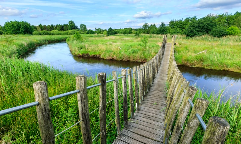 Hangbrug