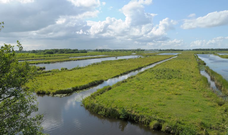 Lezing over De Wieden