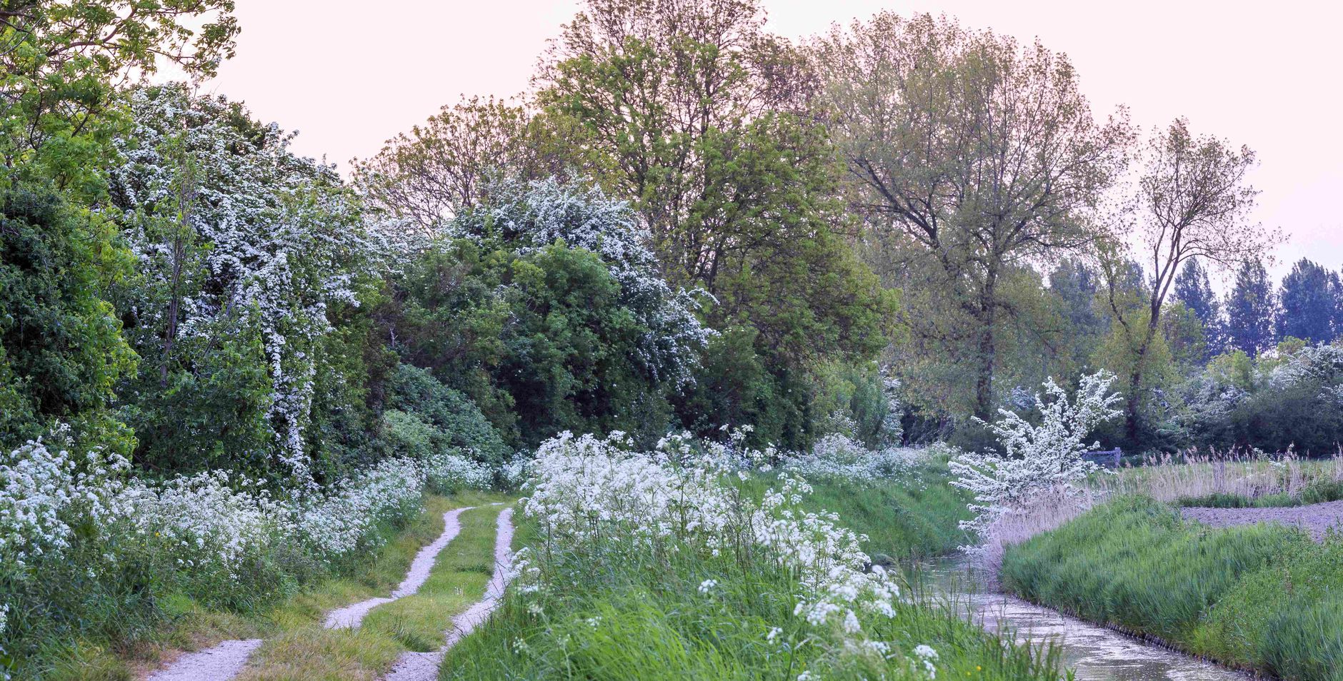 Bloemdijken van Zuid-Beveland