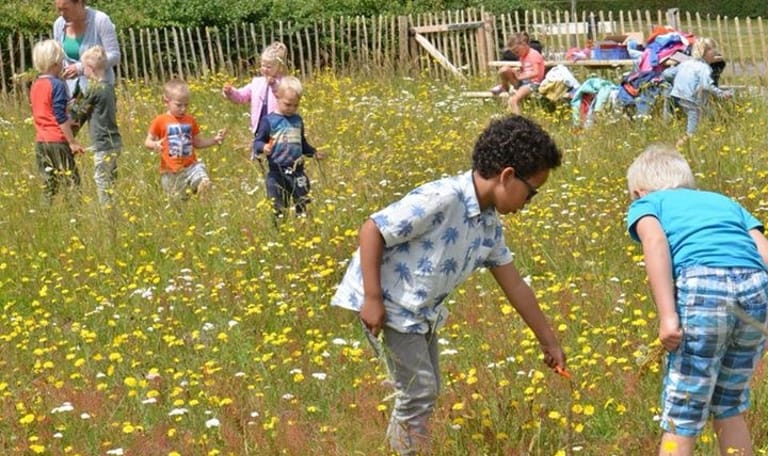 inzaaien met kinderen