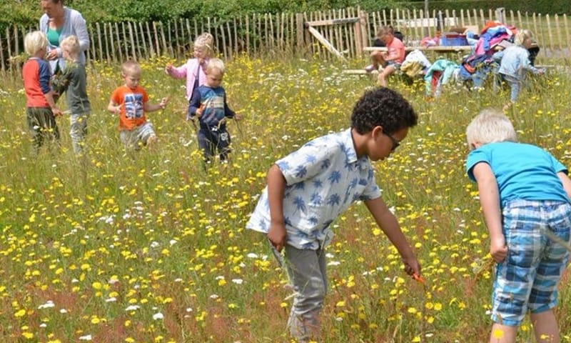 inzaaien met kinderen
