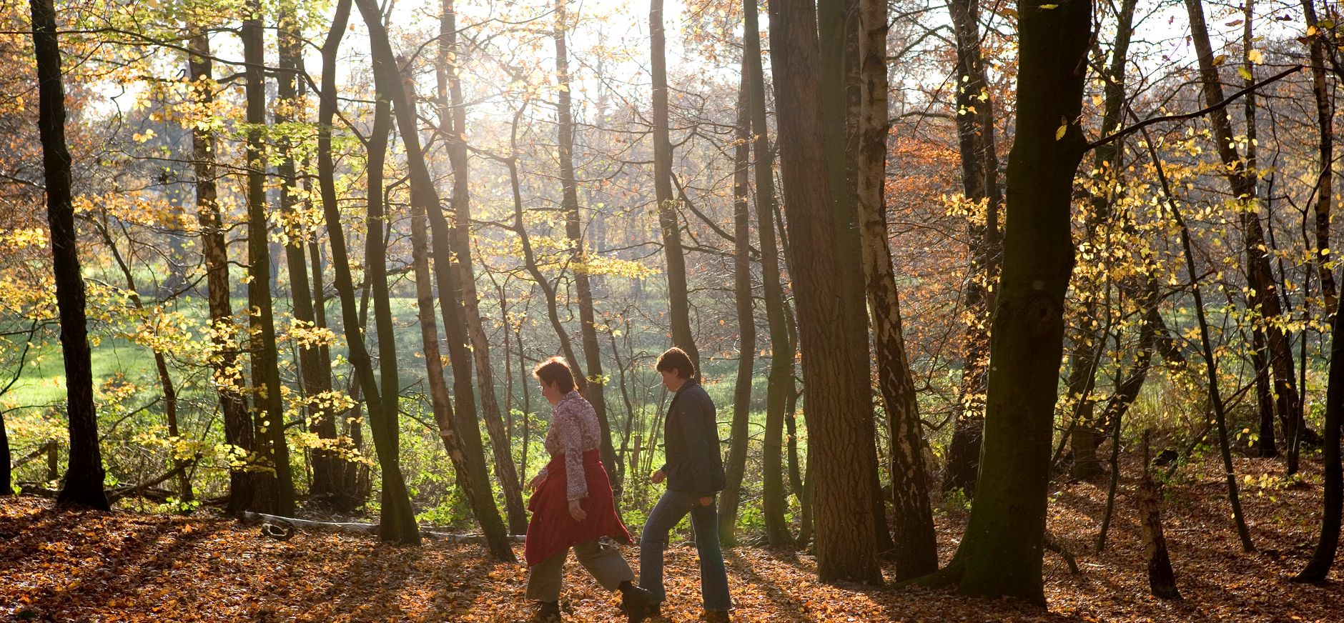 Wandelen op de Sint-Jansberg