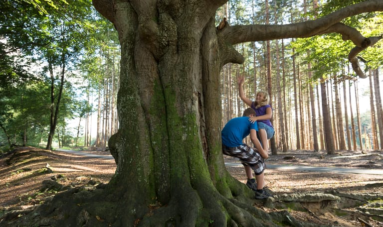 natuurbelevingstocht zomer
