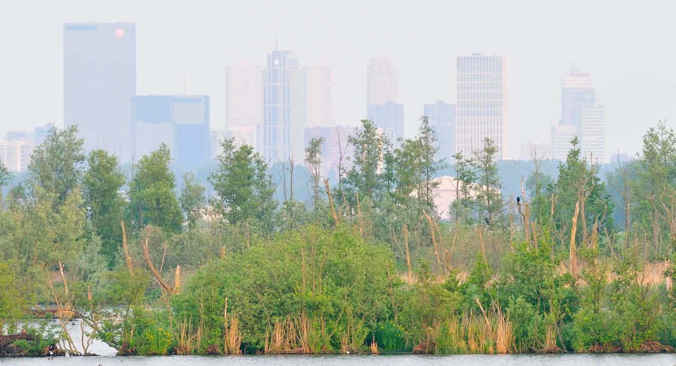 Rotterdamse platteland