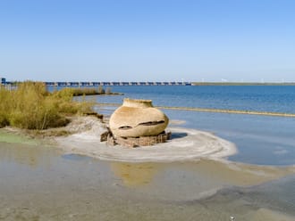 Vogelobservatorium Scheelhoek