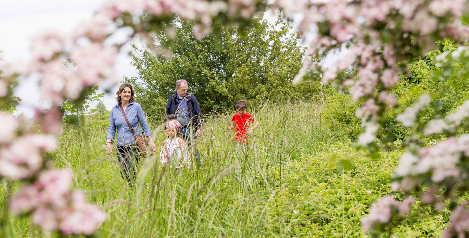 Bloesem in natuurgebied Zwaakse Weel