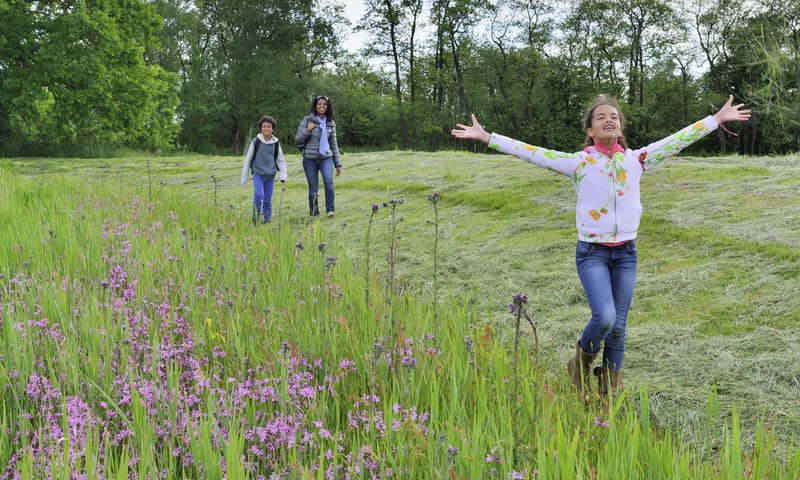 Wandelen langs wilde bloemen