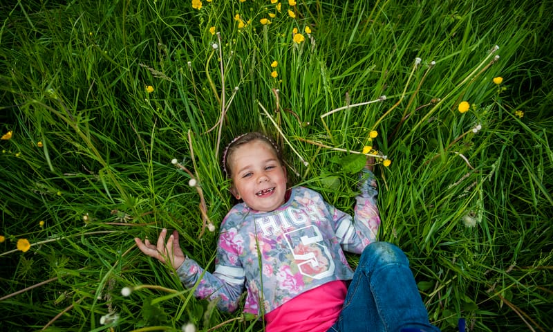 In het gras liggen Zuidpolder