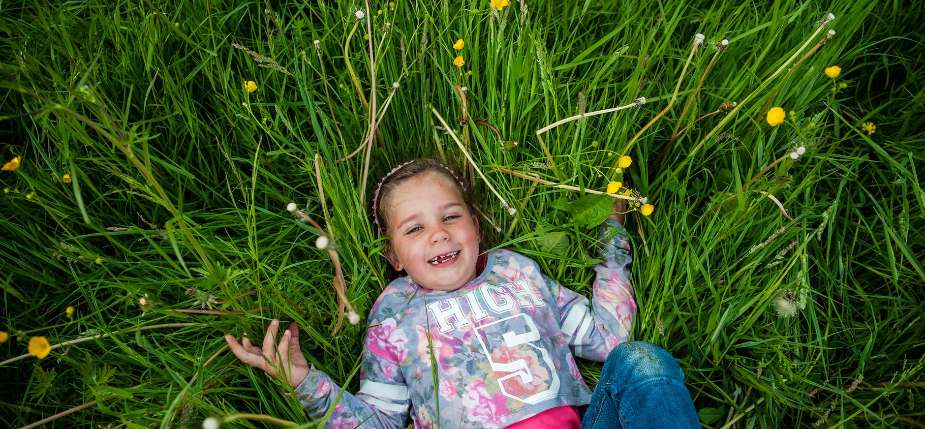 In het gras liggen Zuidpolder