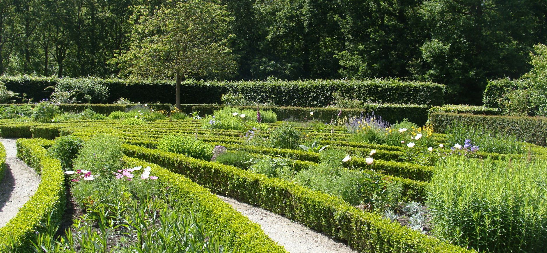De bloemenwaaier moet je een keer gezien hebben!