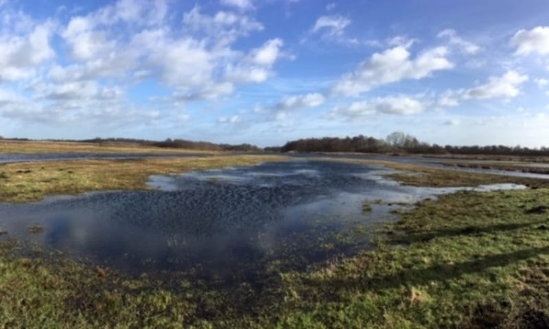 Oostelijke binnenpolder Tienhoven