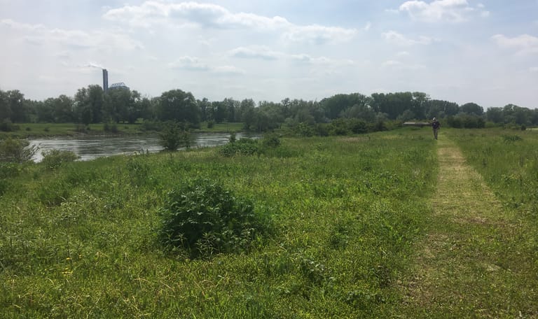 Struinroute Velperwaarden langs de IJssel