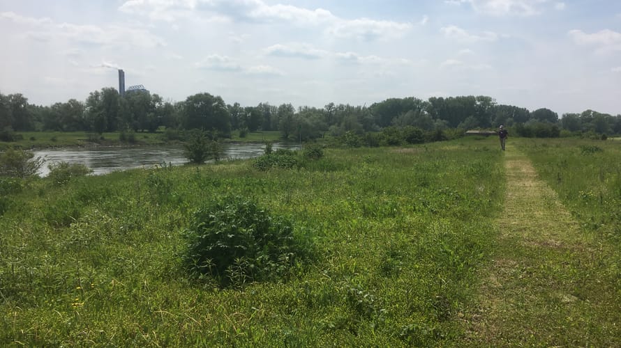 Struinroute Velperwaarden langs de IJssel