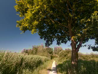 Pad rond Spiegelplas