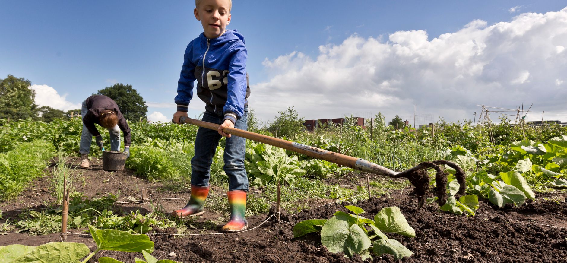 Werken in de moestuin