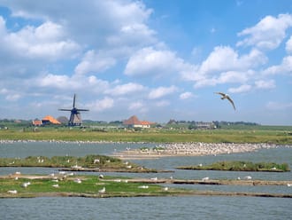 De Putten
