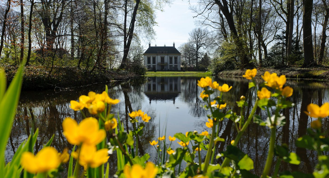 Nijenburg dotterbloemen