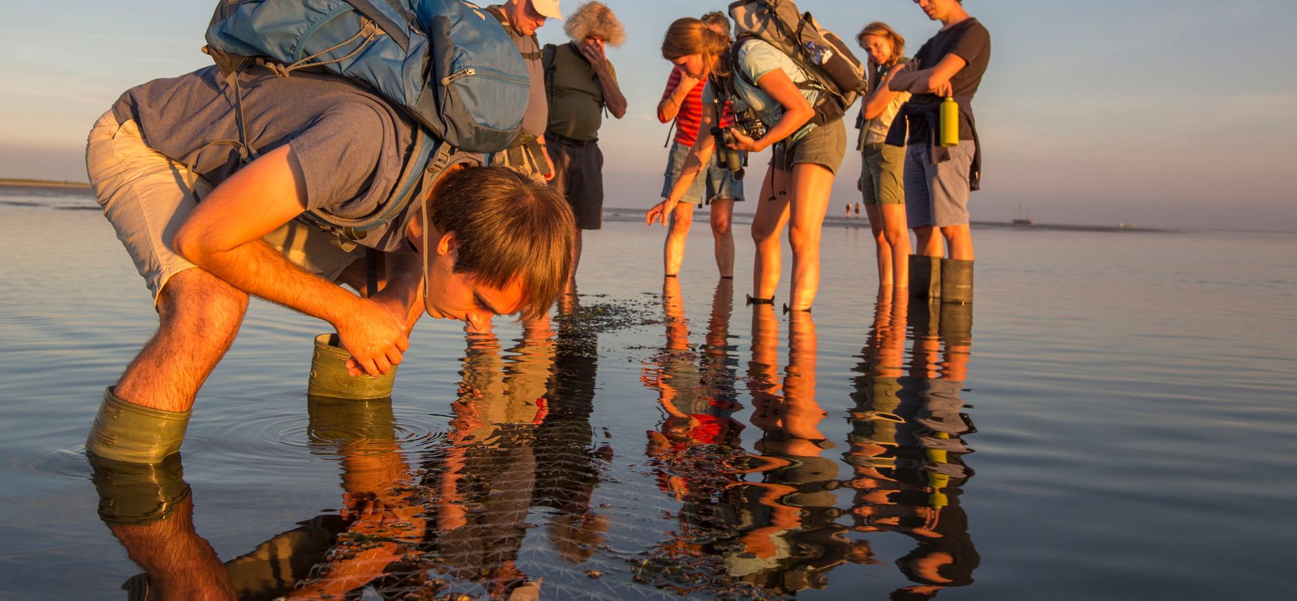 Onderzoekers in de Waddenzee