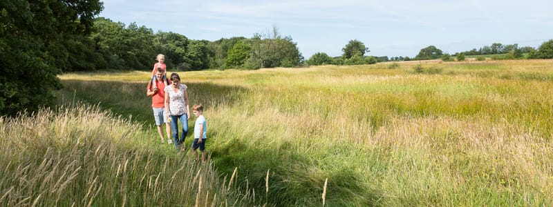 Wandelen Dal van de Ruiten Aa
