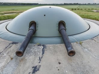 Koepel spijkerboor