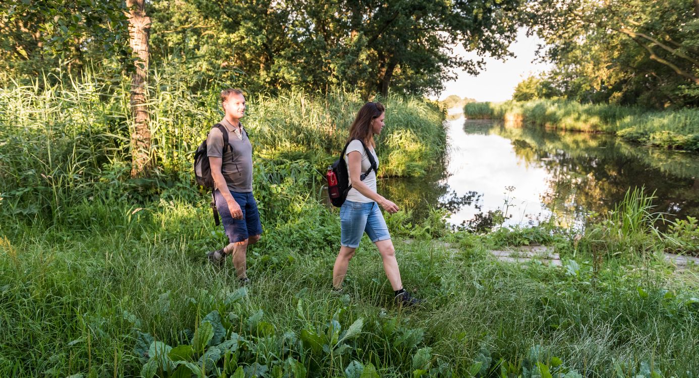 Wandelen bij de Ankeveense Plassen