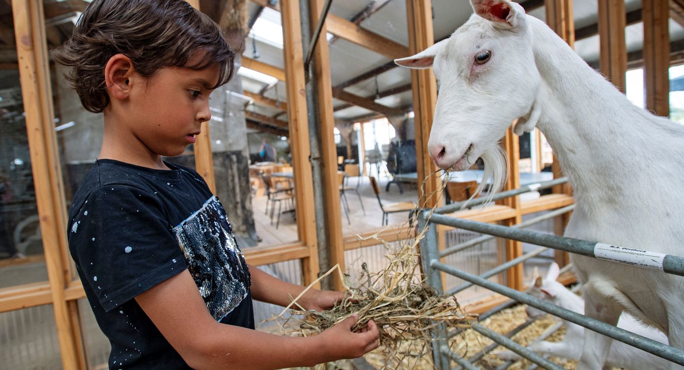 Kind met geit Belevenisboerderij Schieveen