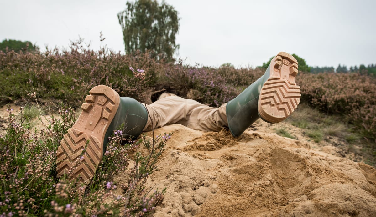 Boswachter Bootcamp