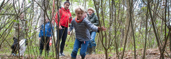 Griezelgreppel in het speelbos