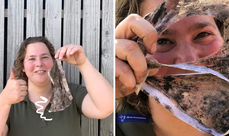 Bodemonderzoek: Boswachter Floor begraaft een onderbroek