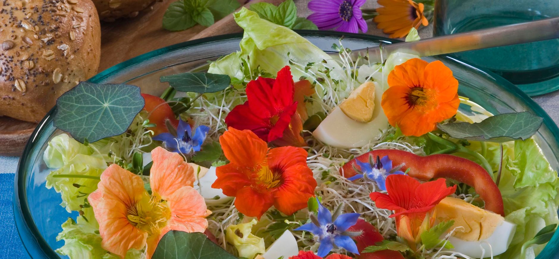 Oost-Indische kers in de salade