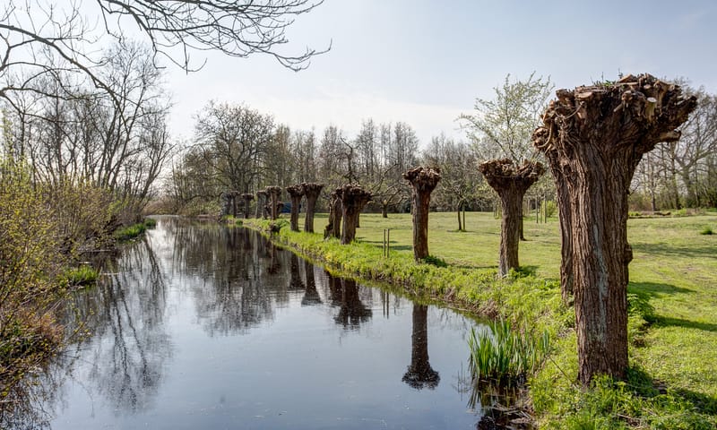 Vergaderen in de natuur van de Ackerdijkse Plassen bij Rotterdam