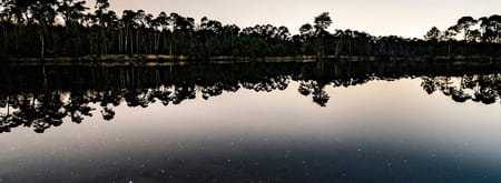 Kampina avond