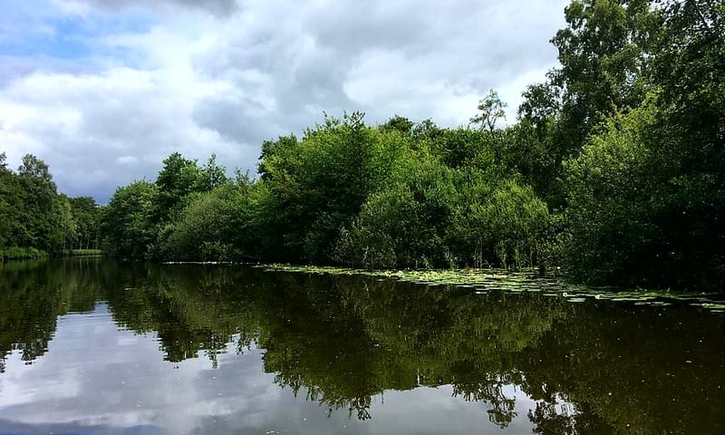 Rivier de Drecht
