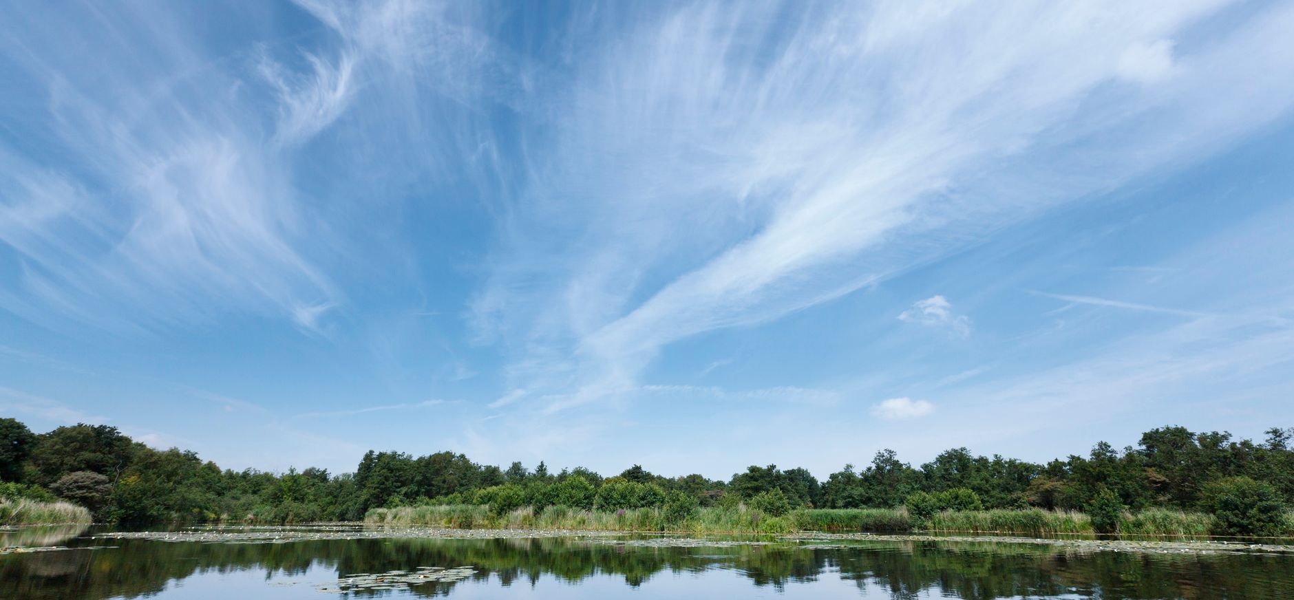 Kortenhoefse plassen
