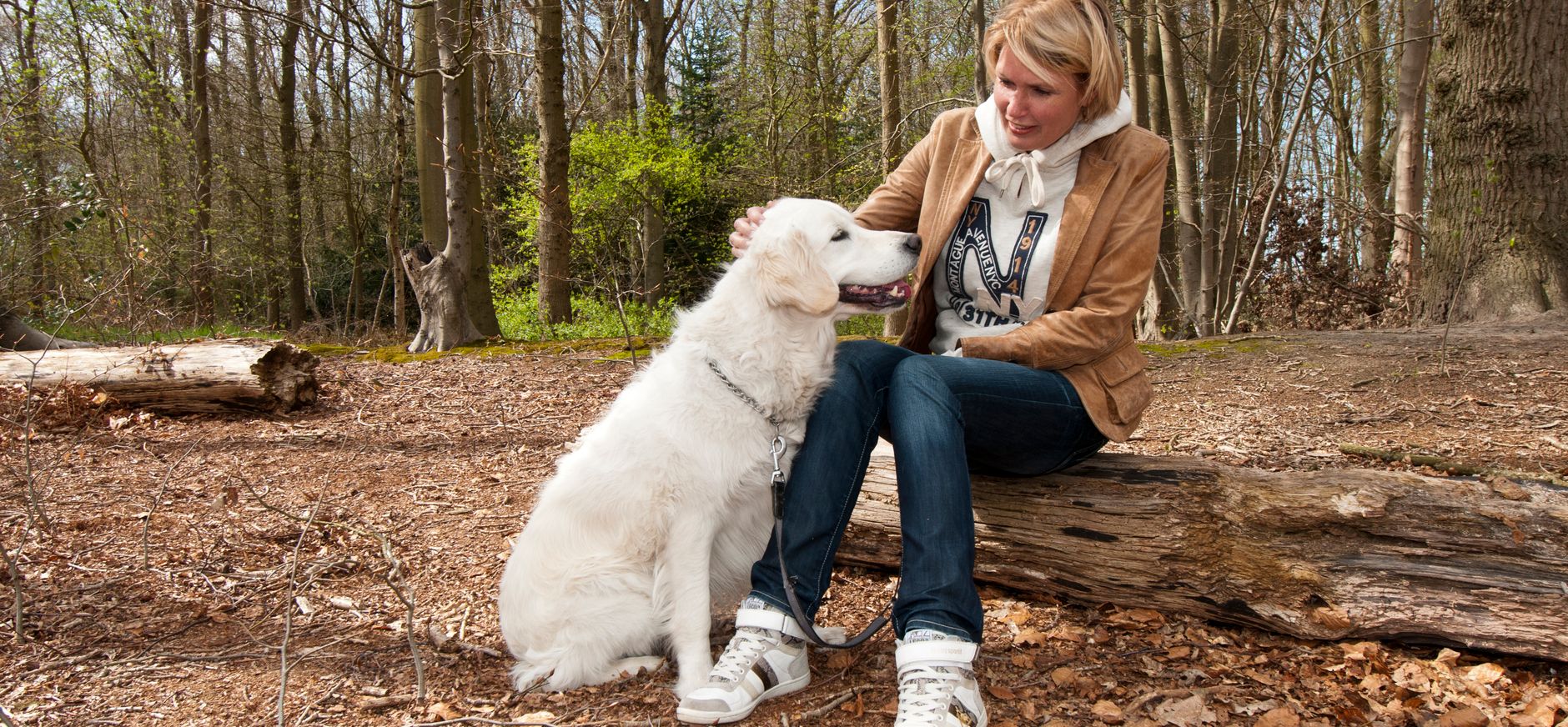 Honden op Beeckestijn