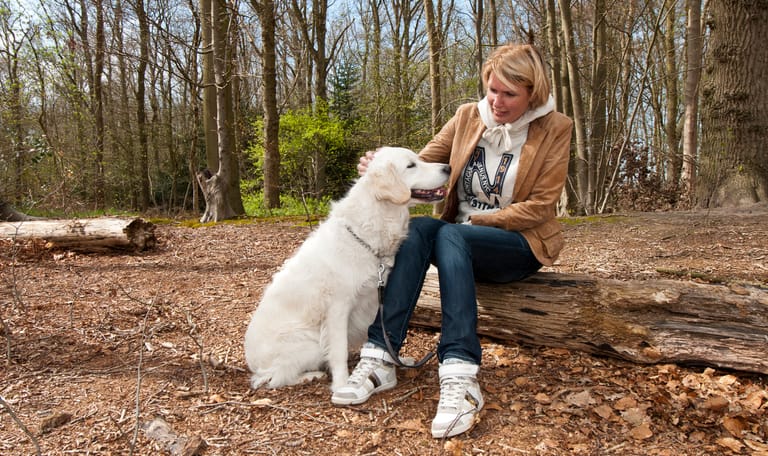 Honden op Beeckestijn