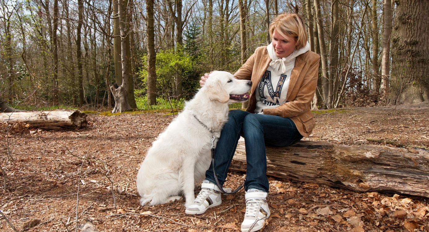 Honden op Beeckestijn