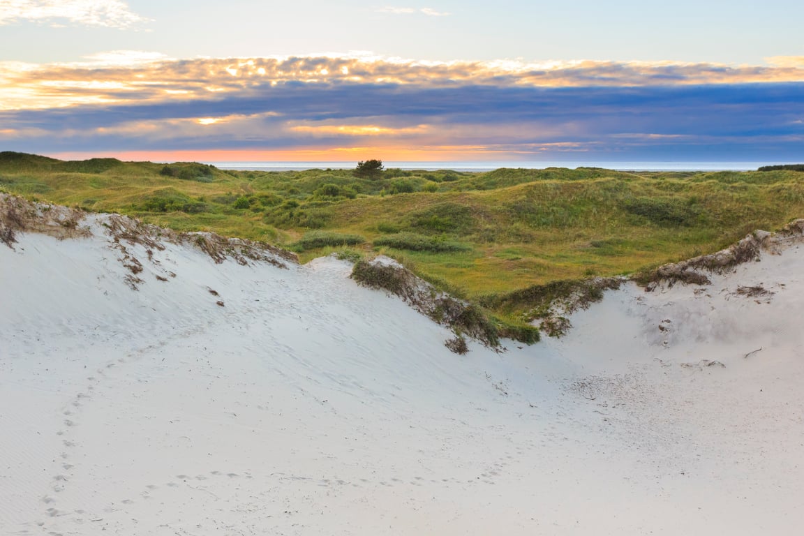 Nazomeren op Schiermonnikoog: 10 tips van de boswachter