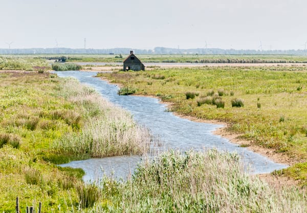 Uitzicht Tiengemeten