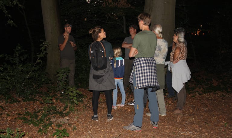 Nacht van de vleermuis