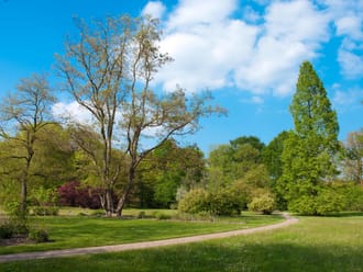 Arboretum Poort-Bulten