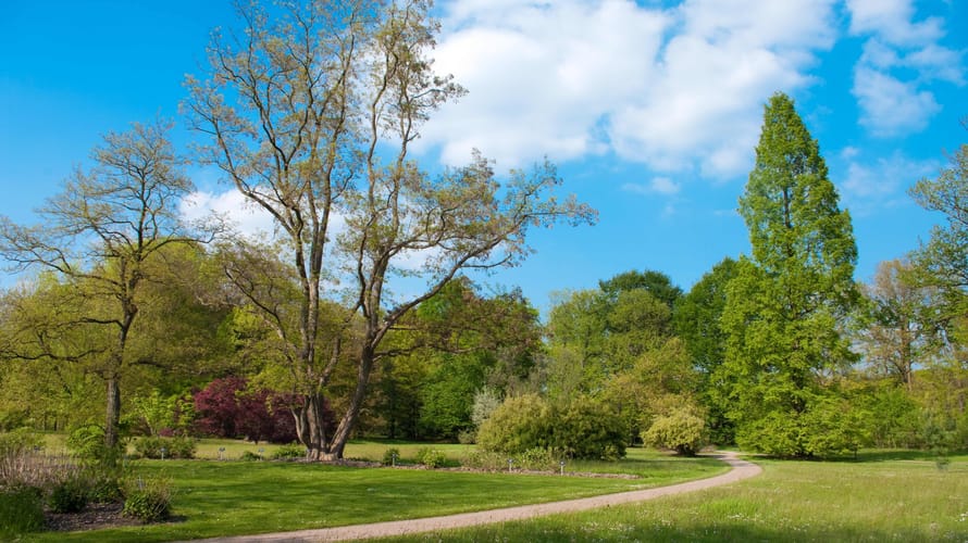 Arboretum Poort-Bulten