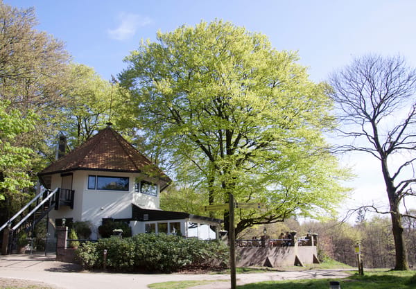 Chalet Helenaheuvel