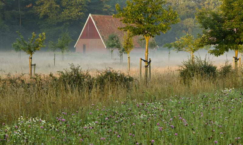 Het prachtige landgoed Mentink van Natuurmonumenten