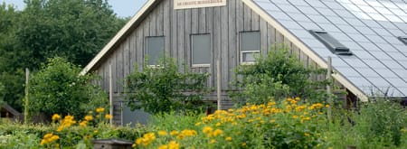 Tuinpad