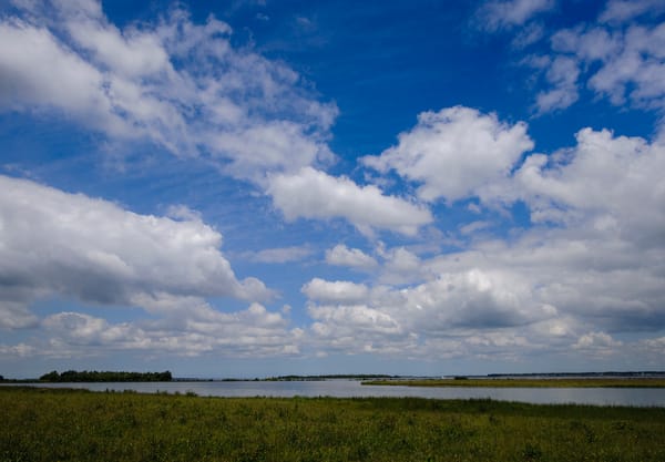 Ongerepte Dintelse Gorzen