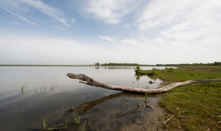 Vlakte Dintelse Gorzen