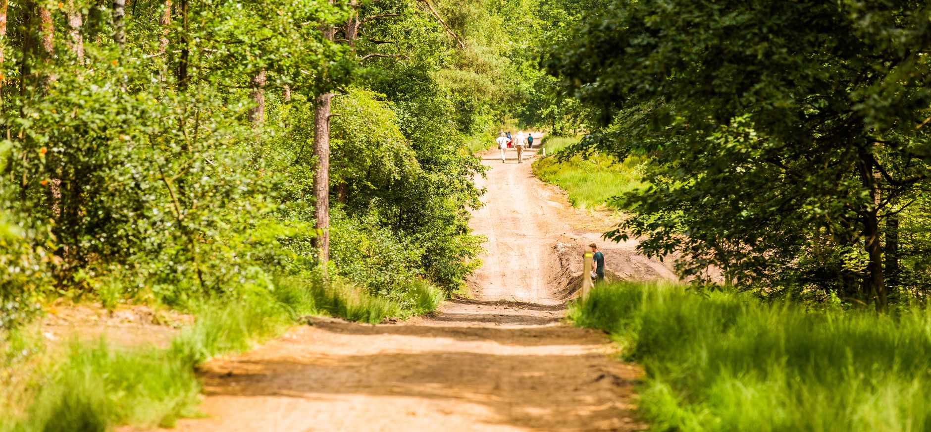 Natuurbegraafplaats Landgoed Mookerheide